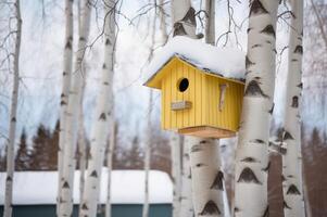 ai generiert Gelb Vogelhaus auf Birke Baum schneebedeckt Jahreszeit. generieren ai foto