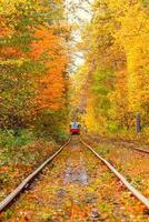 Herbst Wald durch welche ein alt Straßenbahn Fahrten Ukraine foto