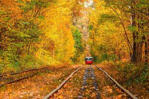 Herbst Wald durch welche ein alt Straßenbahn Fahrten Ukraine foto