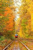 Herbst Wald durch welche ein alt Straßenbahn Fahrten Ukraine foto