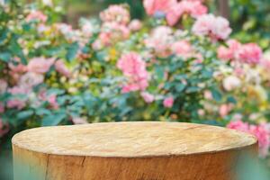 leeren alt Baum Stumpf Tabelle oben mit verwischen Rose Garten Hintergrund zum Produkt Anzeige foto