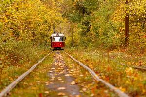 Herbst Wald durch welche ein alt Straßenbahn Fahrten Ukraine foto