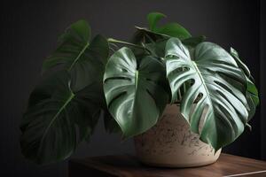 ai generiert Monstera Deliciosa Pflanze. generieren ai foto