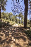 Landschaften und Wanderwege von das schön Natur von das Sierra de Cazorla, jaen, Spanien. Natur Ferien Konzept. foto