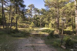 Landschaften und Wanderwege von das schön Natur von das Sierra de Cazorla, jaen, Spanien. Natur Ferien Konzept. foto