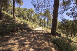 Landschaften und Wanderwege von das schön Natur von das Sierra de Cazorla, jaen, Spanien. Natur Ferien Konzept. foto