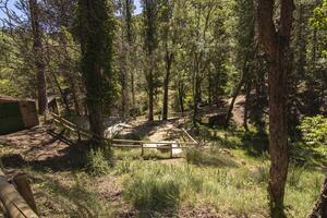 Landschaften und Wanderwege von das schön Natur von das Sierra de Cazorla, jaen, Spanien. Natur Ferien Konzept. foto