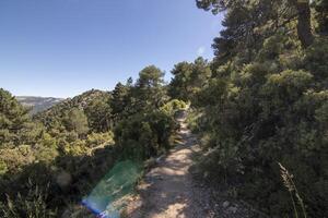 Landschaften und Wanderwege von das schön Natur von das Sierra de Cazorla, jaen, Spanien. Natur Ferien Konzept. foto