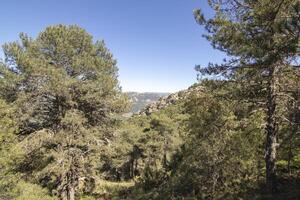 Landschaften und Wanderwege von das schön Natur von das Sierra de Cazorla, jaen, Spanien. Natur Ferien Konzept. foto