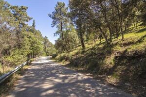 Landschaften und Wanderwege von das schön Natur von das Sierra de Cazorla, jaen, Spanien. Natur Ferien Konzept. foto