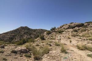 Wandern im das schön Natur von das Sierra de Cazorla, jaen, Spanien. Natur Ferien Konzept. foto