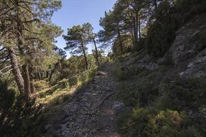 Landschaften und Wanderwege von das schön Natur von das Sierra de Cazorla, jaen, Spanien. Natur Ferien Konzept. foto