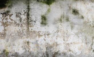 Grün Moos und Regen Flecken auf Zement Mauer foto