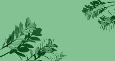 natürlich Hintergrund Rahmen von Geäst. Grün Pflanzen mit Schatten Kopieren Raum. frisch Hintergrund zum Kosmetika und Schönheit. Ast. Pastell- Ton, Sanft Fokus foto