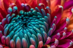 ai generiert Makro Nahansicht hell farbig Blume. generieren ai foto