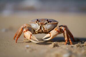 ai generiert Krabbe auf Sand Strand Nahaufnahme. generieren ai foto