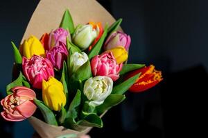 Strauß von bunt Tulpen. Tulpe Frühling Blume. Blumen- Blumen Hintergrund foto