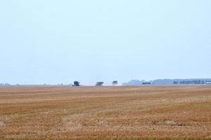 drei Mähdrescher ernten auf einem Feld foto