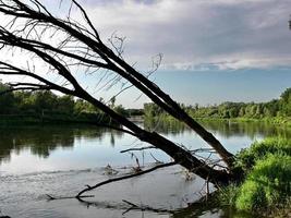 Sonnenuntergang über dem Fluss in natürlicher ländlicher Landschaft foto