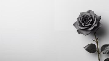 ai generiert minimalistisch Sympathie Beileid Karte. Single Rose auf ein stumm geschaltet Licht grau Hintergrund. Beerdigung Konzept. Kopieren Raum foto