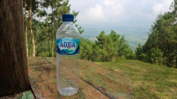 leeren aqua Flasche isoliert auf Grün Hintergrund foto