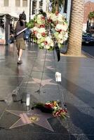 los Engel - - sep 30 tony curtis Star Denkmal Kranz auf das Hollywood gehen von Ruhm Star von tony curtis beim Hollywood gehen von Ruhm auf September 30, 2010 im los Engel, ca. foto