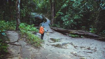 freiheit frau reisende natur. Reisen entspannen. Rucksackwanderung im Wald. Reiserucksack. Abenteuer foto