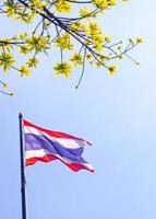 Thailand-Flagge in frischen Blättern und blauem Himmel foto