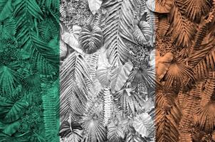 Irland Flagge abgebildet auf viele Blätter von Monstera Palme Bäume. modisch modisch Hintergrund foto