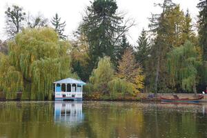 schön Natur Herbst Landschaft mit See. Landschaft Aussicht auf Herbst Stadt Park mit golden Gelb Laub im wolkig Tag foto