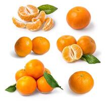 frisch Mandarin Orangen foto