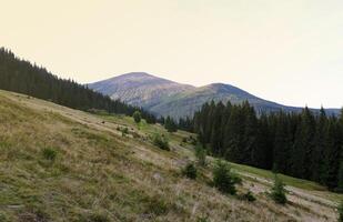 montieren hoverla hängend Gipfel von das ukrainisch Karpaten gegen das Hintergrund von das Himmel foto