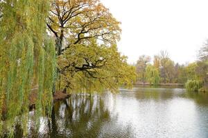 schön Natur Herbst Landschaft mit See. Landschaft Aussicht auf Herbst Stadt Park mit golden Gelb Laub im wolkig Tag foto