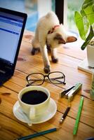 Frauen mit Laptop Arbeiten und trinken Kaffee Tasse heiß beim Zuhause foto