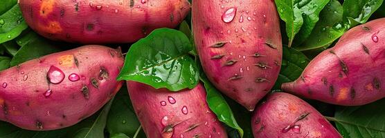 ai generiert Bauernhof frisch Süss Kartoffel mit natürlich belaubt grüne, Overhead Komposition - - ein Reich Quelle von Antioxidantien und Diät Ballaststoff zum gesund Essen foto