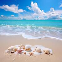 ai generiert sonnig tropisch Strand Meer Muscheln foto