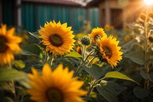 ai generiert Bauernhof Blume Hintergrund abstrakt foto