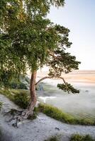 Berg Aussicht von Nebel im das früh Morgen, Natur von Russland, Nebel unter, Reise im Natur, Sommer- Landschaft, Wald und Berge foto