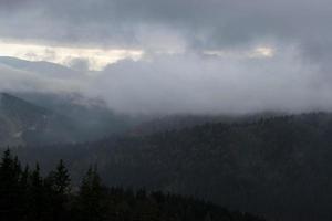 Nebel über dem Wald der Karpaten foto