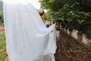 Paar, Liebe, Hochzeit Kleid und lange Schleier, nach Ehe Fall, Zeremonie oder Union im Natur. lächelnd, glücklich oder vertrauen Mann oder Frau oder Braut und Bräutigam bekommen näher nach ein romantisch Feier. foto