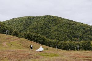 Porträt von ein jung Braut und Bräutigam Gehen auf Grün Gras gegen das Hintergrund von Berge nach das Hochzeit Zeremonie, Seite Sicht. glücklich Hochzeit Paar, Kopieren Raum. weiter Winkel Foto. foto