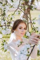 ein rothaarig Braut posiert gegen das Hintergrund von ein Blühen Baum. großartig Kleid mit lange Ärmel, öffnen Büste. Frühling Hochzeit foto