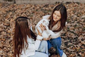 zwei Teenager Schwestern. Herbst im Natur. Sie sitzen auf trocken Blätter von Bäume. Sie kommunizieren mit jeder andere während halten ein Haustier. sie ist haben ein Herz zu Herz Gespräch. Beste Freunde. Privatsphäre. foto