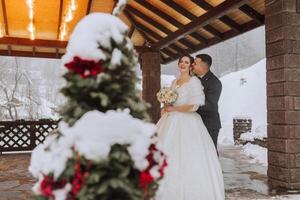 horizontal Schuss von ein schön Braut und Bräutigam Gehen und genießen das Park auf ein schneebedeckt Winter Tag. Winter Hochzeit. foto