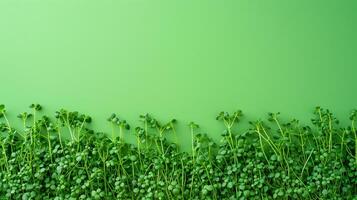 ai generiert Frühling Vitalität, üppig Microgreens Rahmen foto