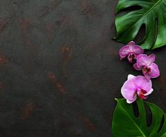 tropische Blätter Monstera und Orchideenblüten foto