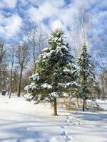 Landschaft Schuss von das Winter Dorf. Jahreszeit foto