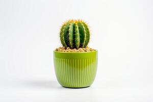 ai generiert Kaktus im ein Vase isoliert auf Weiß Hintergrund foto