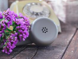 Limonium sinuatum statice Blume Hintergrund foto