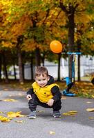 jung Junge spielen mit Blätter im das Straße. ein jung Junge glücklich spielen mit ein Stapel von bunt fallen Blätter im das Mitte von das Straße. foto